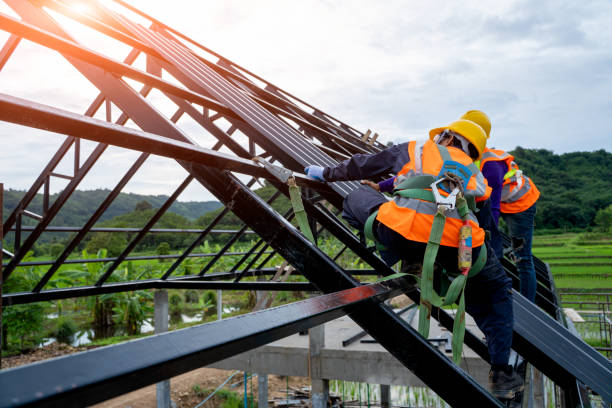 Best Residential Roofing Contractor  in Collinsvle, IL