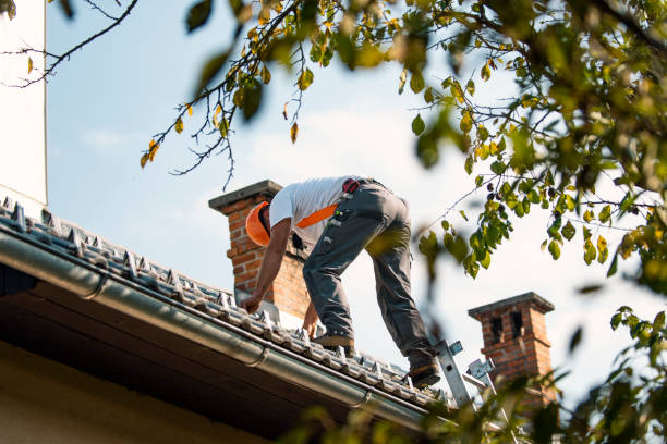 Best Roof Maintenance Services  in Collinsvle, IL