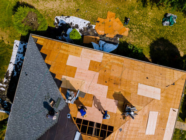 Best Commercial Roofing Services  in Collinsvle, IL