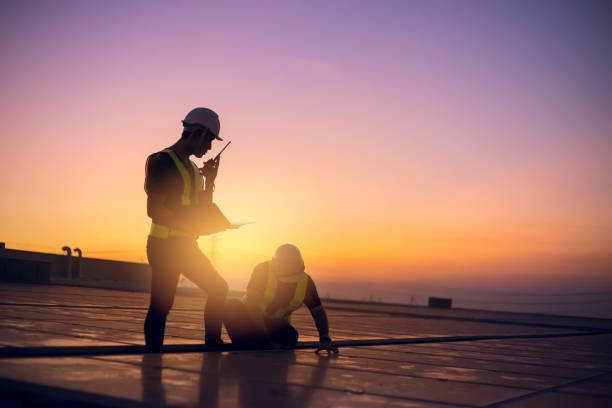 Roof Gutter Cleaning in Collinsville, IL