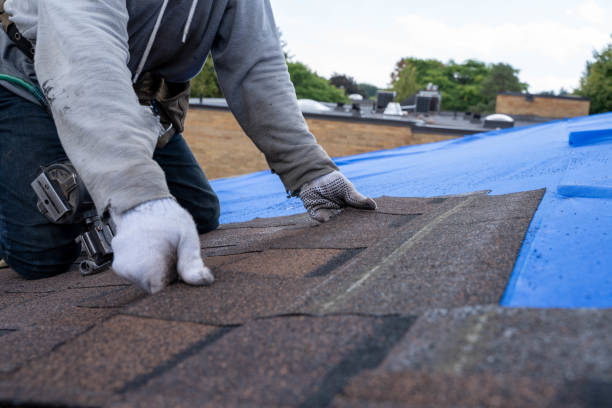 Best Gutter Installation and Roofing  in Collinsvle, IL