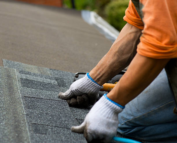 Best Storm Damage Roof Repair  in Collinsvle, IL