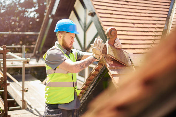Best Gutter Installation and Roofing  in Collinsvle, IL