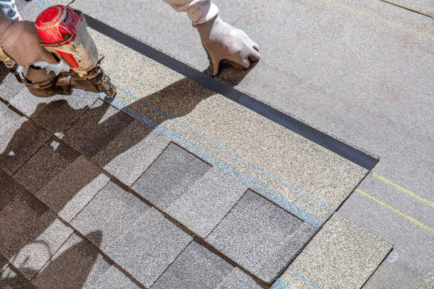 Best Flat Roof Repair Services  in Collinsvle, IL